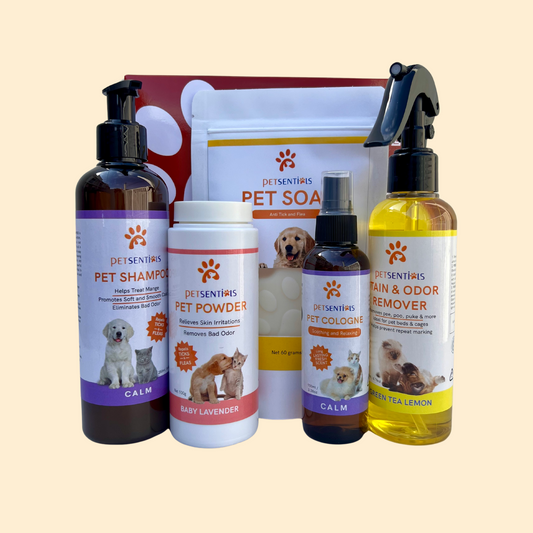 Christmas Gift Bundle - Calm