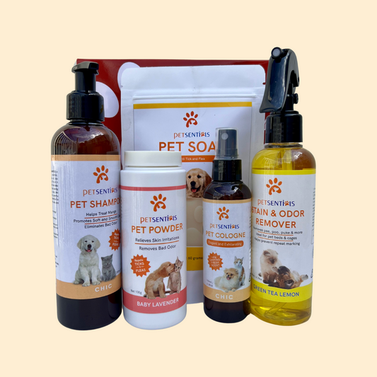 Christmas Gift Bundle - Chic