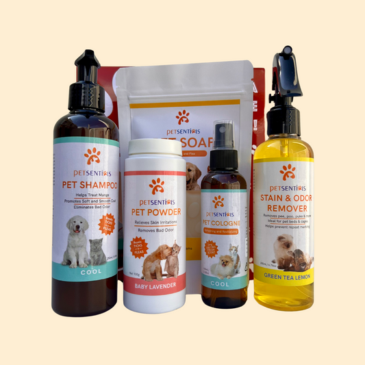 Christmas Gift Bundle - Cool