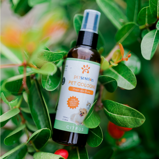 Petsentials Pet Cologne 100ml - Citrus