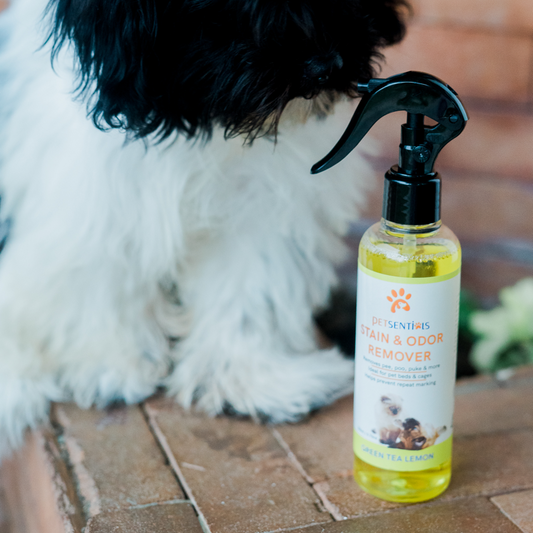 Petsentials Stain and Odor Remover 200ml