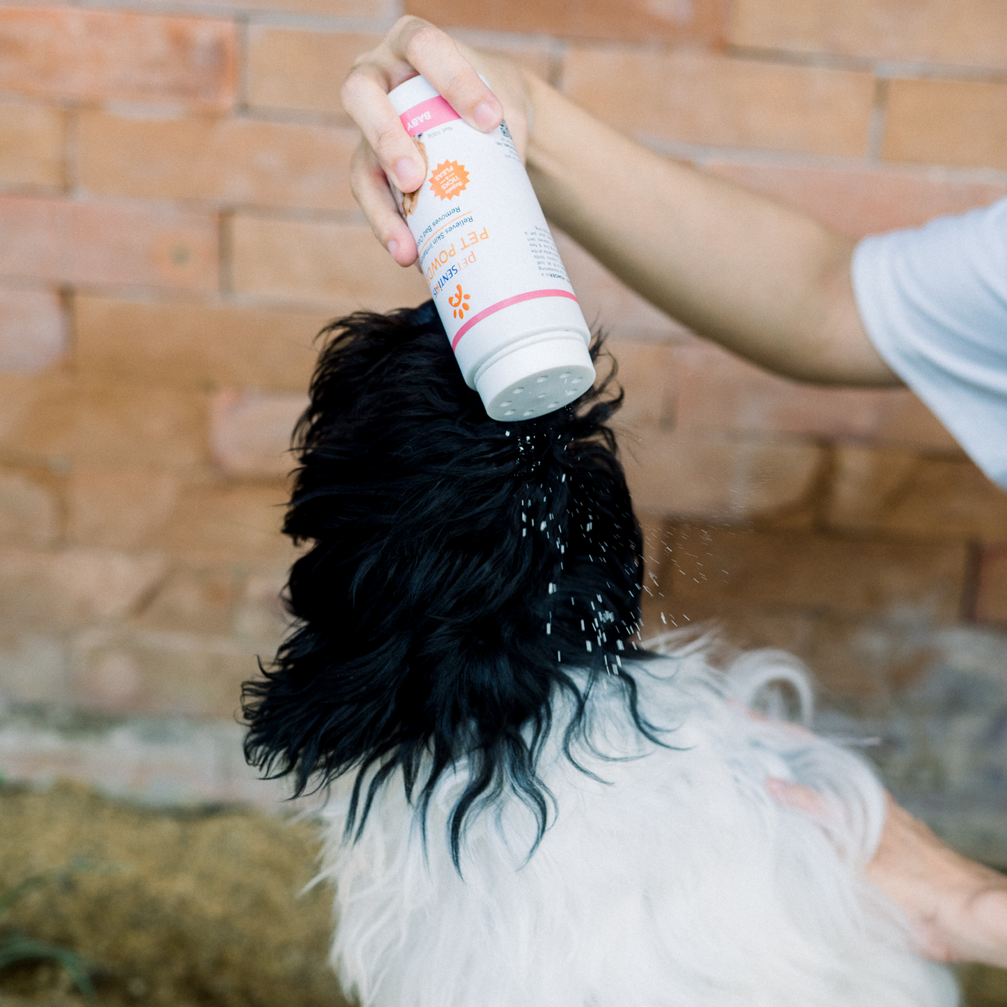Petsentials Pet Powder 100g