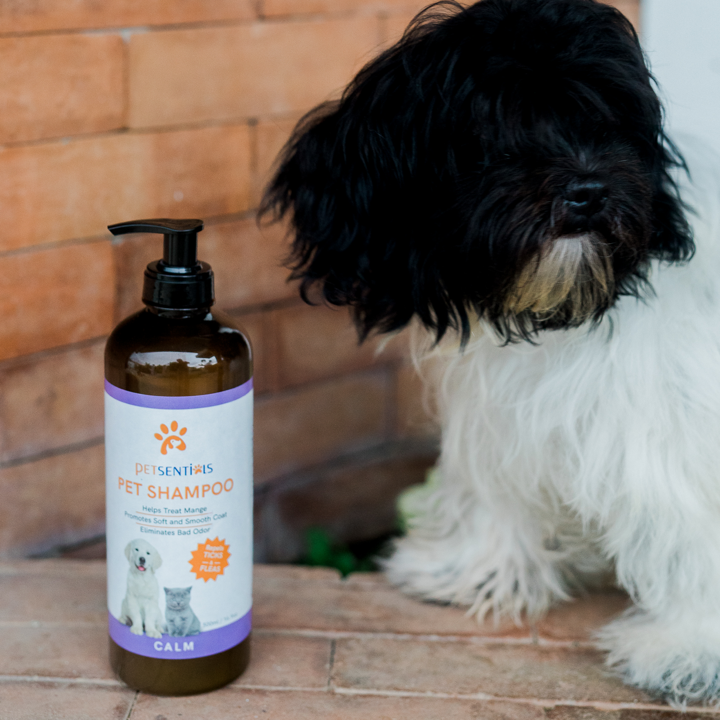 Petsentials Pet Shampoo 500ml - Calm