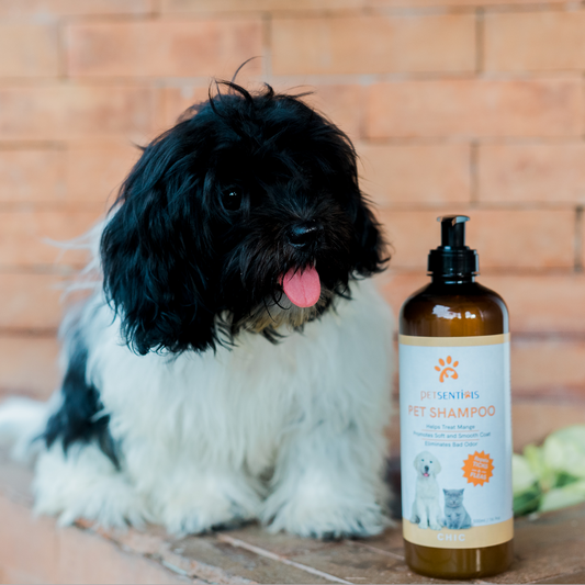 Petsentials Pet Shampoo 500ml - Chic