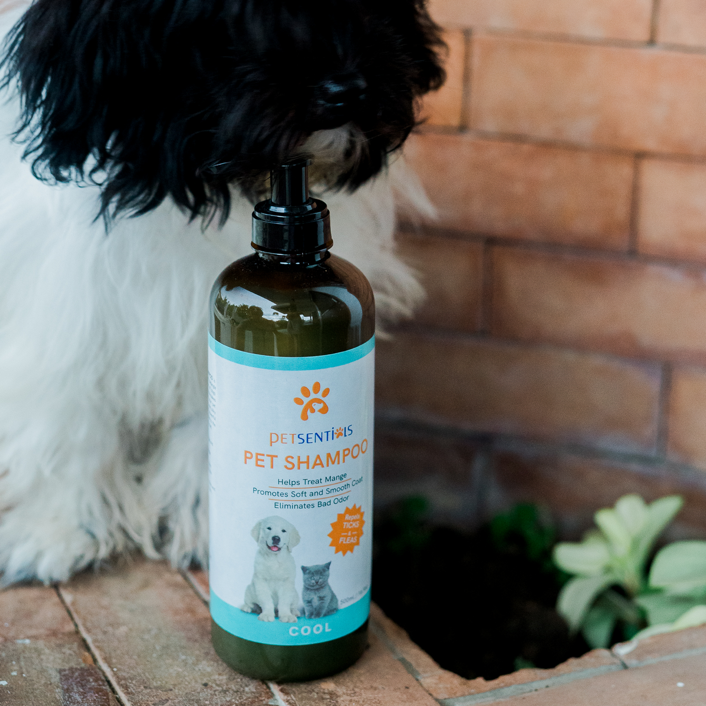 Petsentials Pet Shampoo 500ml - Cool