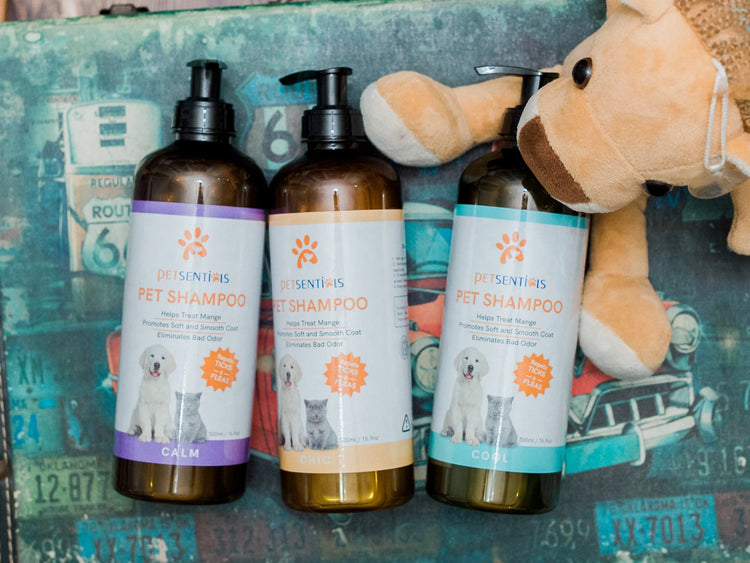Pet Shampoo