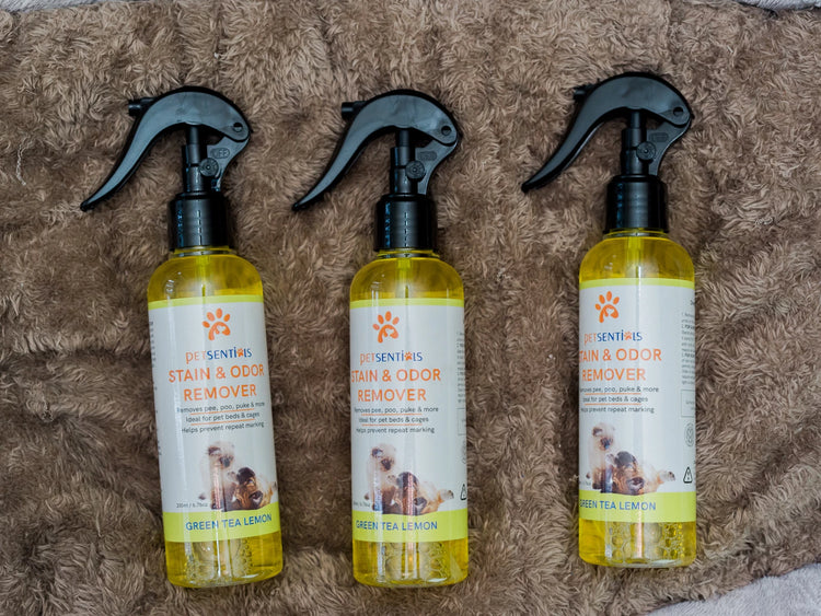 Pet Stain and Odor Removers