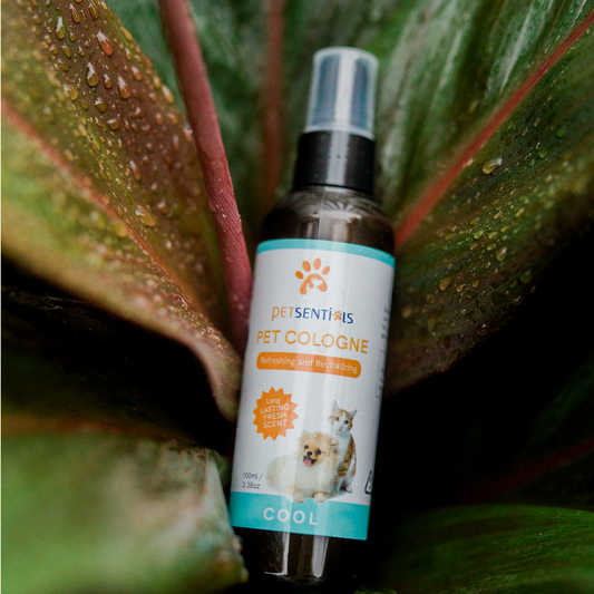 Petsentials Pet Cologne 100ml - Cool