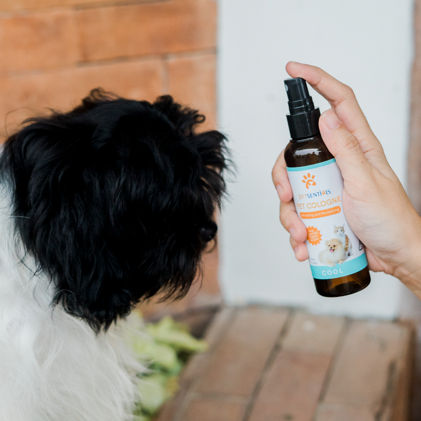 Petsentials Pet Cologne 100ml - Cool