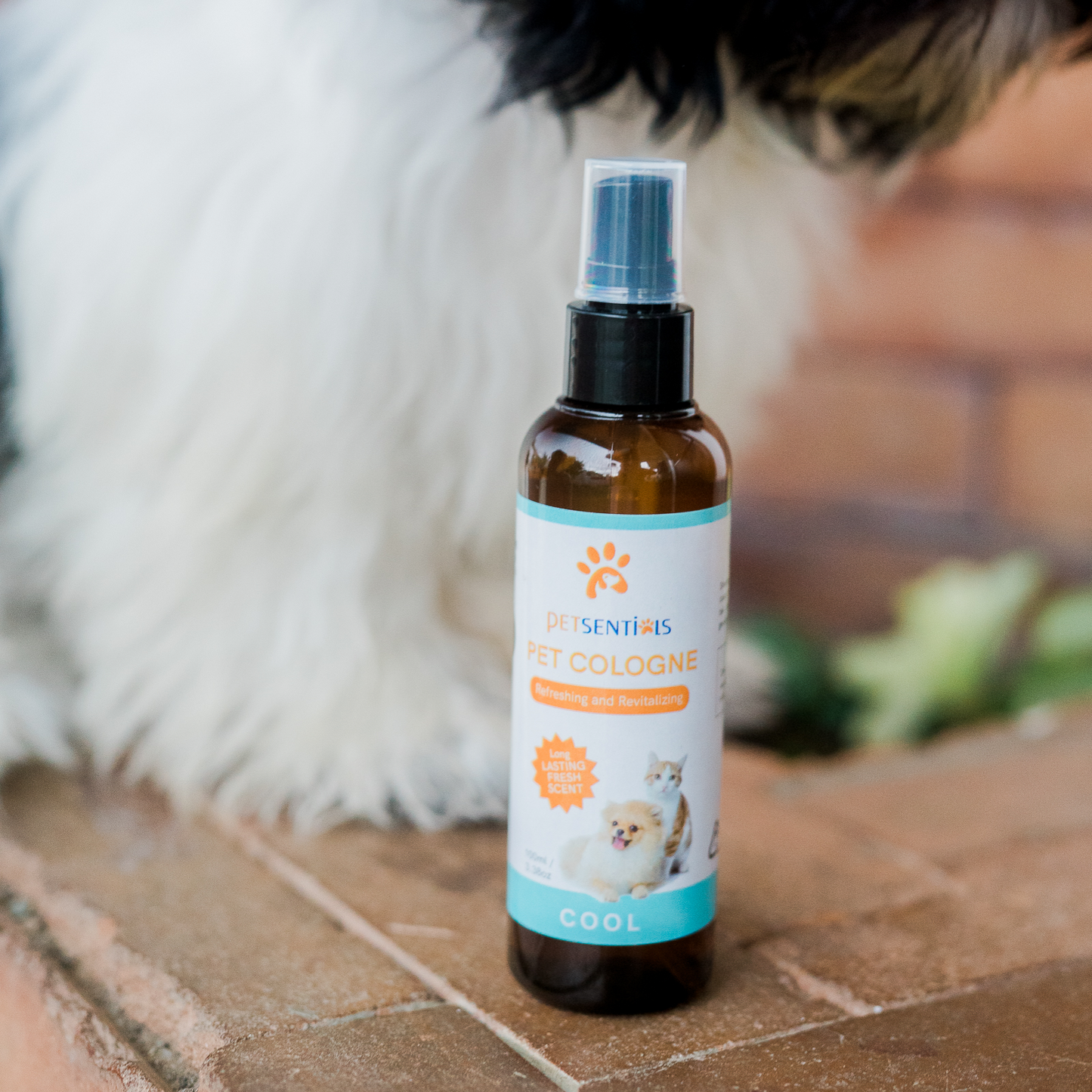 Petsentials Pet Cologne 100ml - Cool
