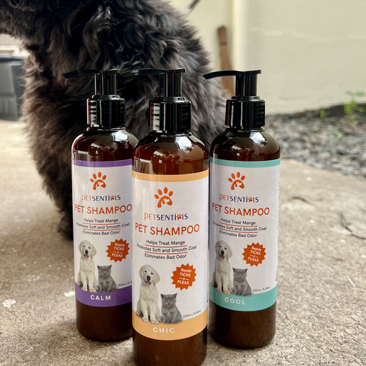 Petsentials Pet Shampoo 250ml - Chic